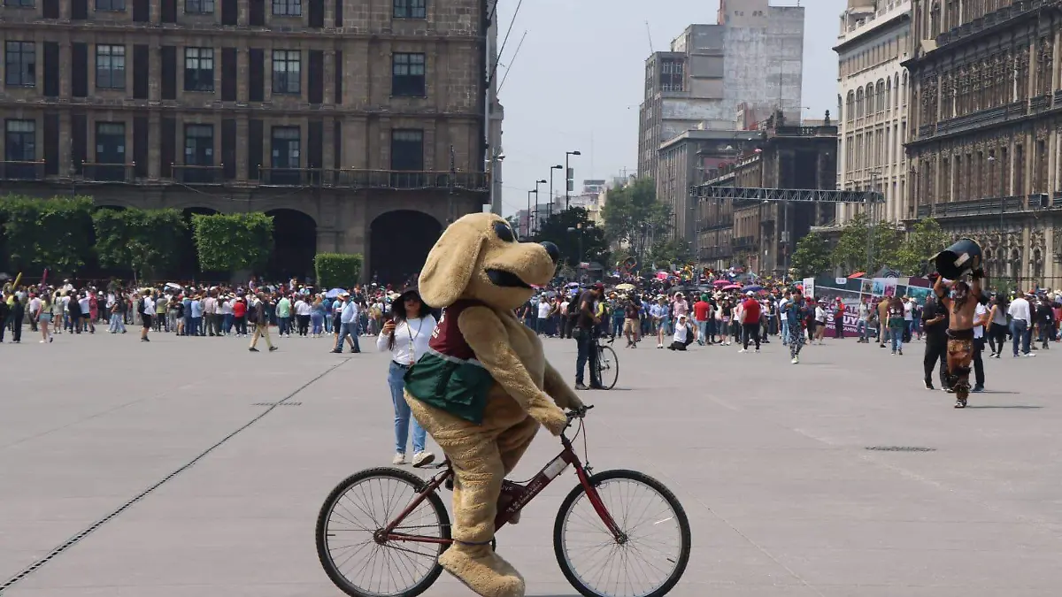 Zócalo Peatonal  (3)